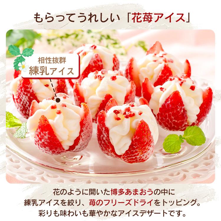 IRIS OHYAMA（アイリスオーヤマ） 花いちごのアイス 博多あまおう A-DS