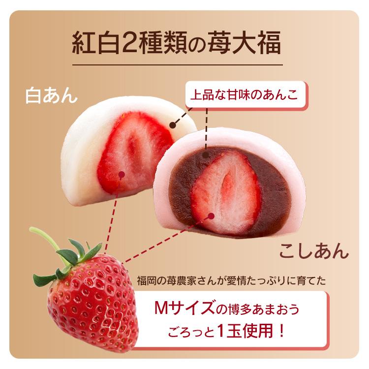 いちご大福様 リクエスト 2点 まとめ商品 いちご大福様 リクエスト 2点 まとめ商品 - メルカリ