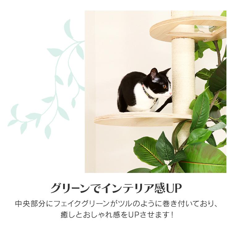 キャットタワー 猫用品 つめとぎ ねこの休ら木 ソラ ナチュラル 58203