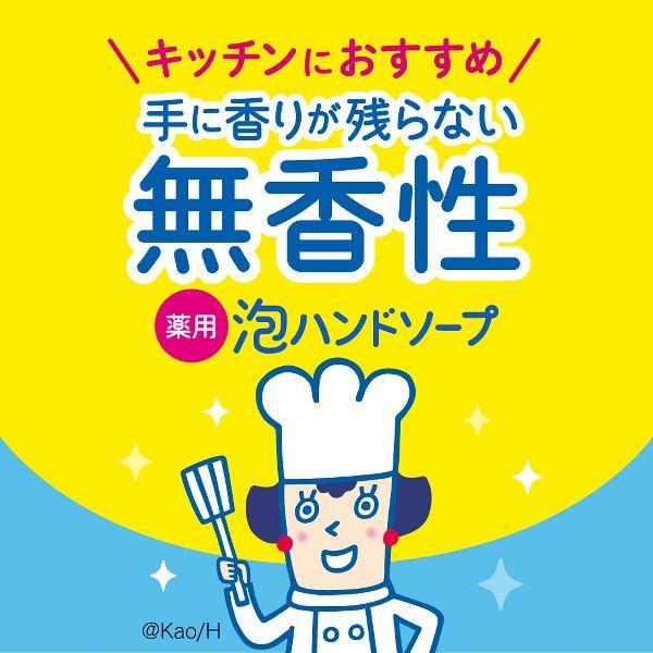 Kao ハンドウォッシュ 花王 液体せっけん ビオレu 泡ハンド Kao ハンドウォッシュ 花王 液体せっけん ビオレu 泡ハンド
