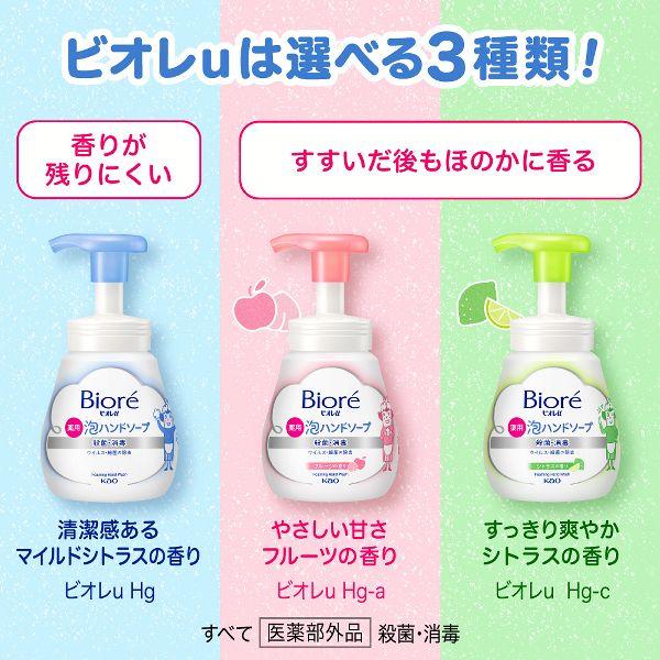 Kao ハンドウォッシュ 花王 液体せっけん ビオレu 泡ハンド Kao ハンドウォッシュ 花王 液体せっけん ビオレu 泡ハンド