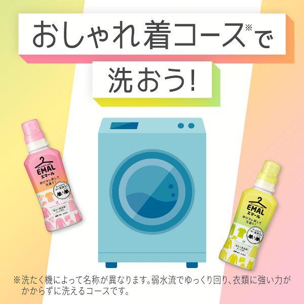 エマール 洗濯洗剤 洗剤 詰め替え 液体 おしゃれ着洗剤 810ml 花王 
