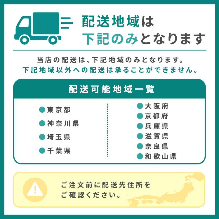 PELTECH（ペルテック） 電動アシスト自転車 自転車 100%完成納品 電動