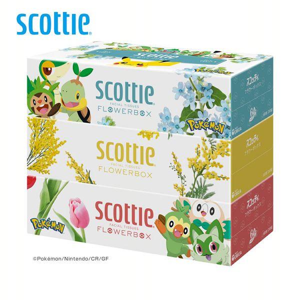 ポケモン ティッシュ箱 3箱セット スコッティ（scottie） ティッシュ ティッシュペーパー 250組(500枚) 3