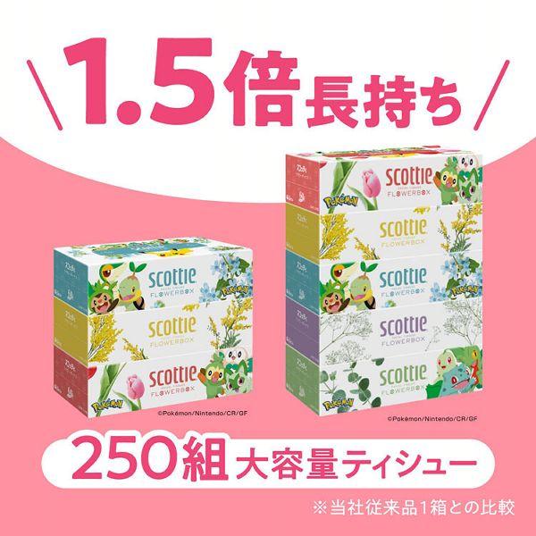 スコッティ（scottie） ティッシュ ティッシュペーパー 250組(500枚) 3