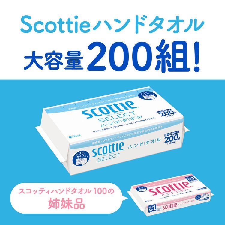 スコッティ（scottie） ハンドタオル ソフト セレクト ハンドタオル