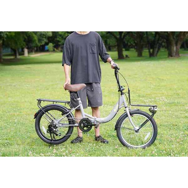 PELTECH 自転車 折りたたみ自転車 フォールディングバイク LOGOS PELTECH 自転車 折りたたみ自転車 フォールディングバイク LOGOS