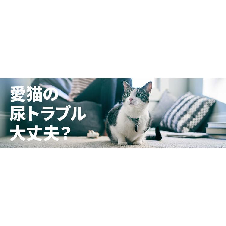 ヒルズ キャットフード 療法食 尿ケア (猫用)c/d マルチケア