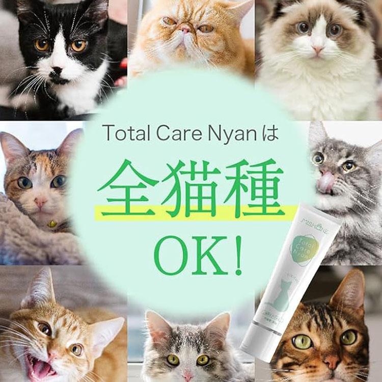 MISHONE（ミシュワン） 歯磨きジェル 猫用 ヒューマングレード Total