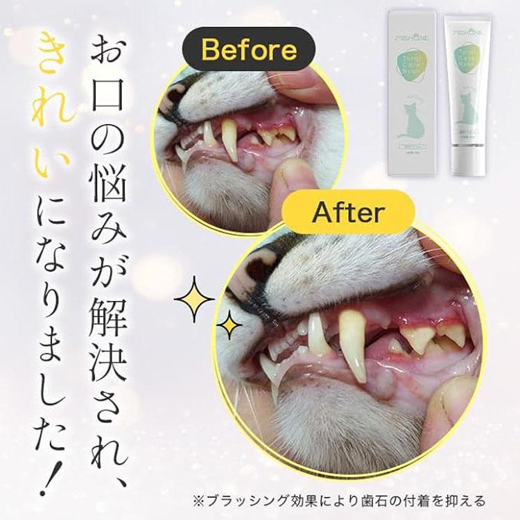 ミシュワン トータルケアニャン 猫用トータルケアジェル 3本セット 新品未開封 MISHONE（ミシュワン） 歯磨きジェル 猫用 ヒューマングレード Total