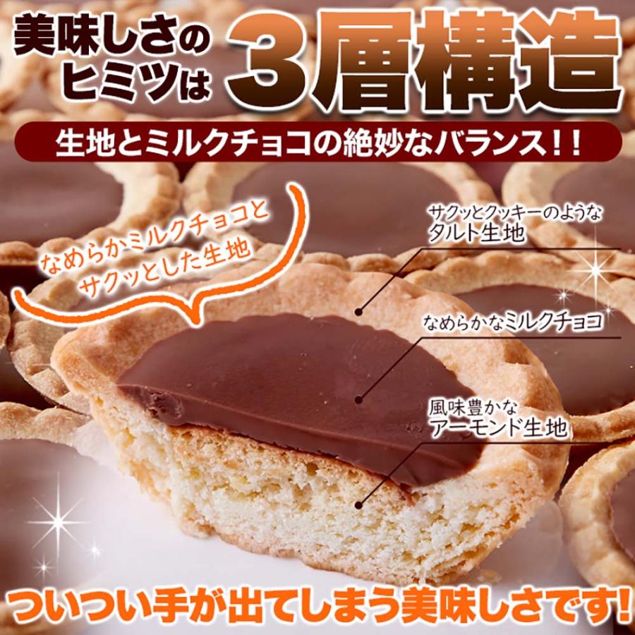 食品 お菓子 チョコレート チョコタルトどっさり30個 SM00011352 中山