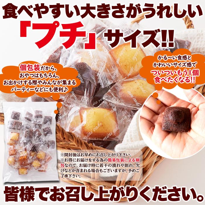 フィナンシェ マドレーヌ プチサイズ 30個 (各15個×2種) お菓子