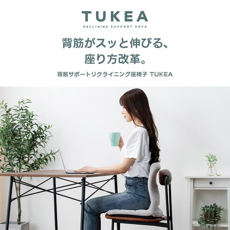 置くだけ背筋サポートリクライニング座椅子／トケア［TUKEA］ CG-BBZP