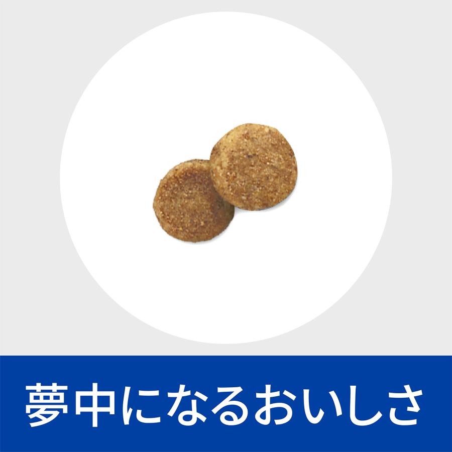 キャットフード 猫 フード 療法食 ヒルズ cd マルチケア コンフォート 4kg c/d ドライ 猫用 キャット 尿石 ダイエット_6