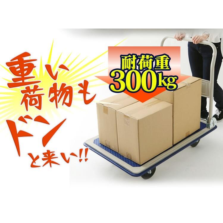 IRIS OHYAMA（アイリスオーヤマ） 台車 折りたたみ 300kg スチール台車