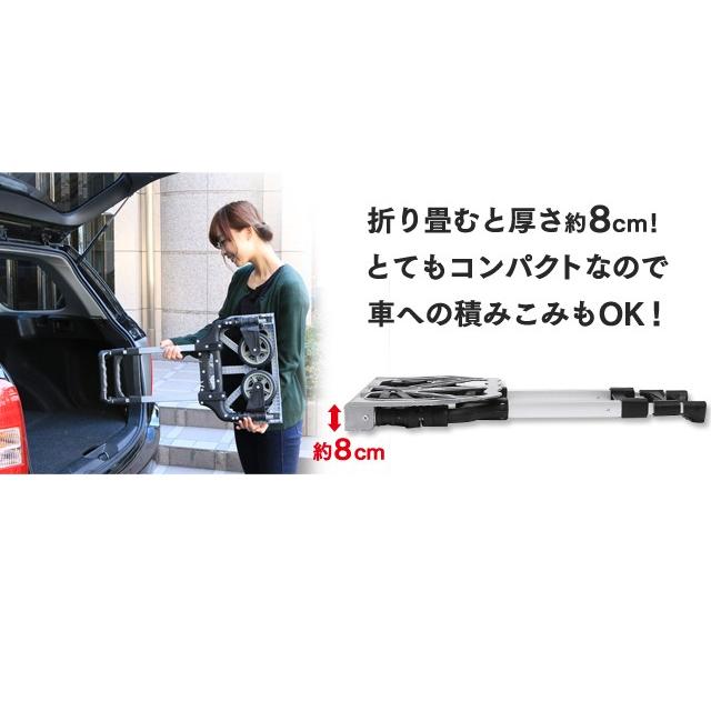 IRIS OHYAMA（アイリスオーヤマ） 台車 折りたたみ キャスター 軽量