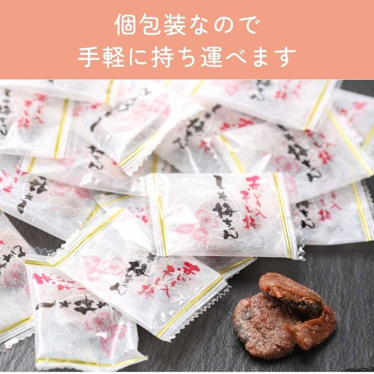 種なし しそ梅ちゃん 90g Tokka (代引不可)(TD) : アイリスプラザ
