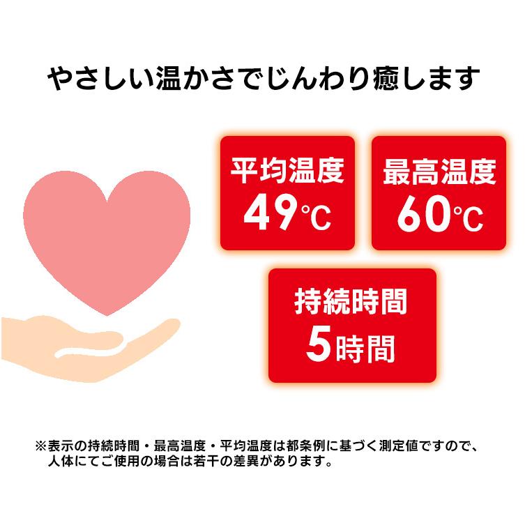 IRIS OHYAMA（アイリスオーヤマ） カイロ 貼る 貼るカイロ ミニ 2枚組