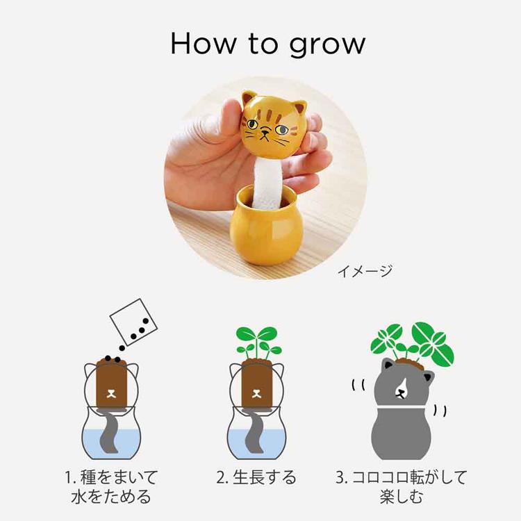 栽培キット 3種セット ミント バジル ワイルドストロベリー コロコロ