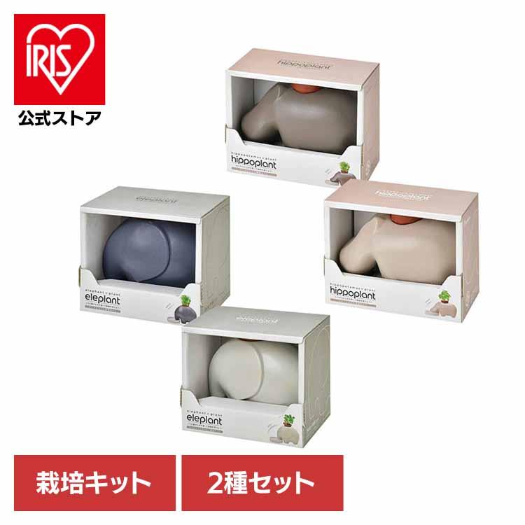 栽培キット ハーブ 2種セット アップルミント エレプラント ヒポポ