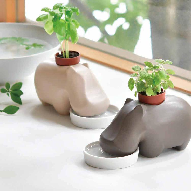 栽培キット ハーブ 2種セット アップルミント エレプラント ヒポポ