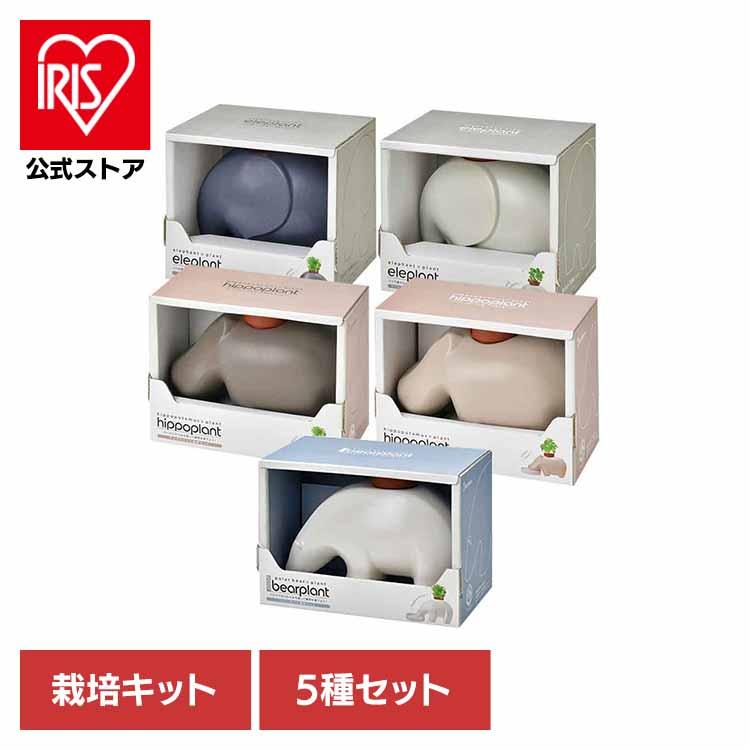 栽培キット ハーブ 5種セット アップルミント アニマルプラント 栽培