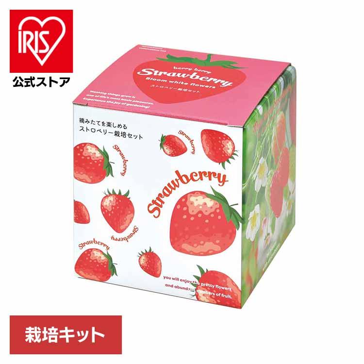 栽培キット イチゴ 聖新陶芸 くだもの 四季なりいちご SEISHIN