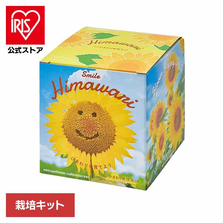 【けいちゃんさま専用】ひまわりと農村二枚セット 栽培キット ミニひまわり ひまわり 聖新陶芸 スマイルヒマワリ