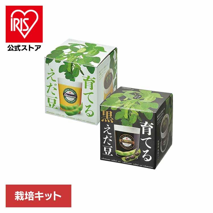 栽培キット 野菜 えだまめ 聖新陶芸 SEISHIN インテリア 枝豆 ギフト