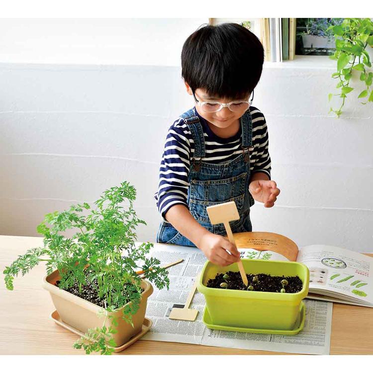 栽培キット 野菜 4種セット イチゴ えだまめ ミニトマト ミニヒマワリ