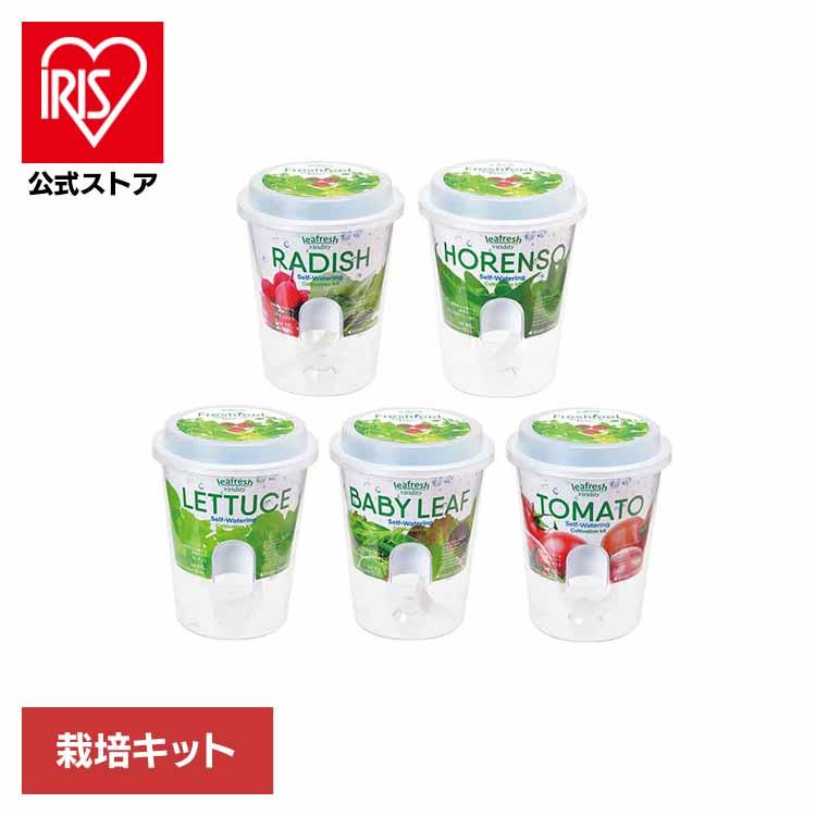 栽培キット 水耕栽培 聖新陶芸 SEISHIN サラダ ミニ菜園 透明ポット フレッシュフィール GD-81901 GD-81902 GD-81903 GD-81904 GD-81906（Yahoo!・アイリスプラザ Yahoo!店）