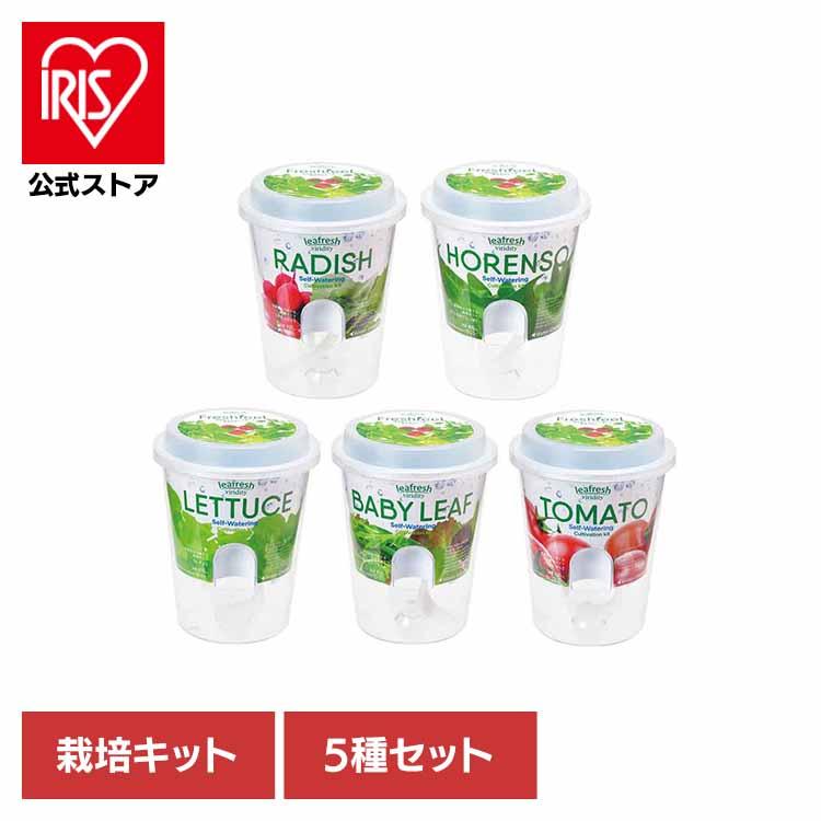 INOUT シェラディッシュ 2個セット 栽培キット ラディッシュ サラダホウレンソウ レタス 5種セット