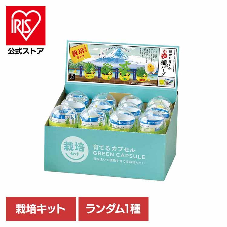 栽培キット ハーブ 聖新陶芸 SEISHIN ミニ湯桶 あひるちゃん 香草