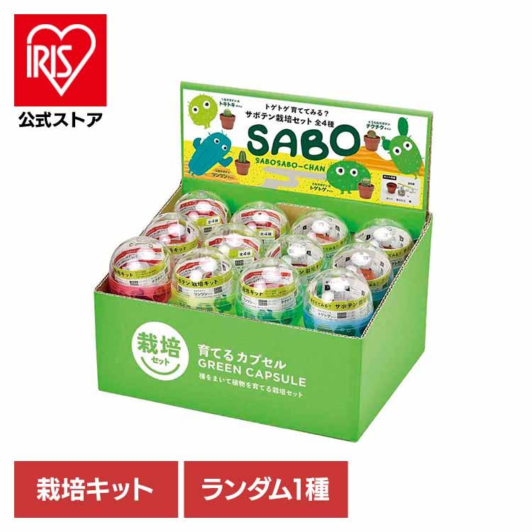 栽培キット サボテン 聖新陶芸 SEISHIN ガチャ さぼてん ギフト