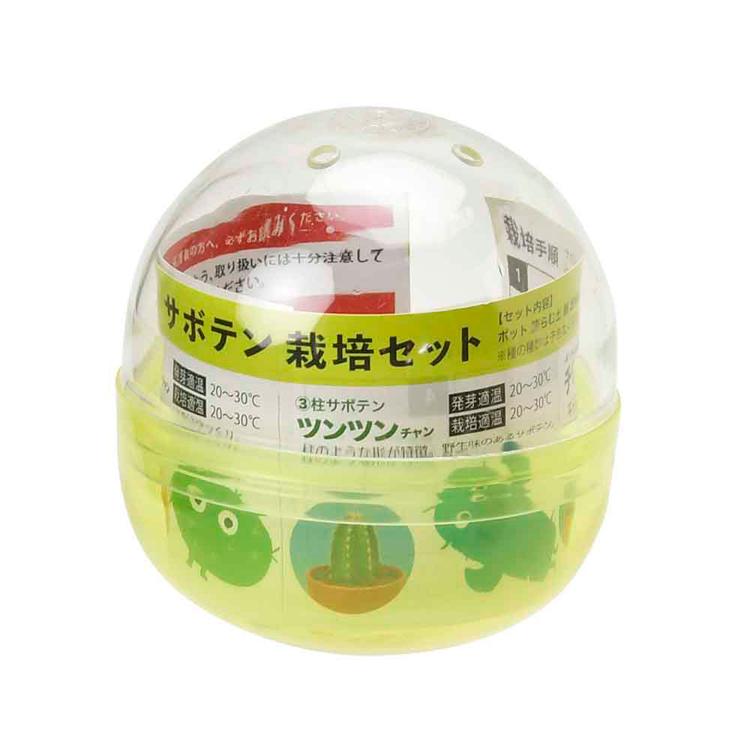 栽培キット サボテン 聖新陶芸 SEISHIN ガチャ さぼてん ギフト