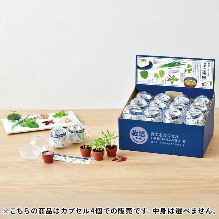 栽培キット 薬味 4個セット 聖新陶芸 SEISHIN 育てるカプセル 栽培