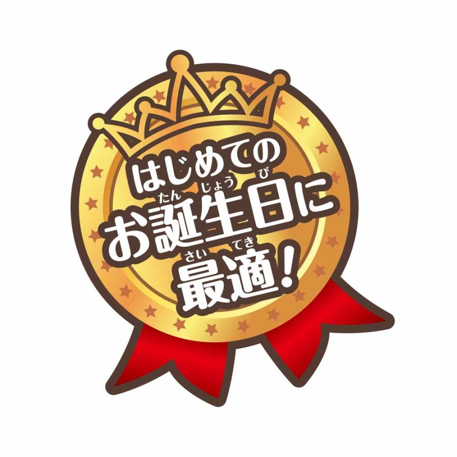 アンパンマン よくばりボックス おおきなよくばりボックス おもちゃ 子供 子ども プレゼント ギフト 2025 あんぱんまん 知育 アガツマ_8