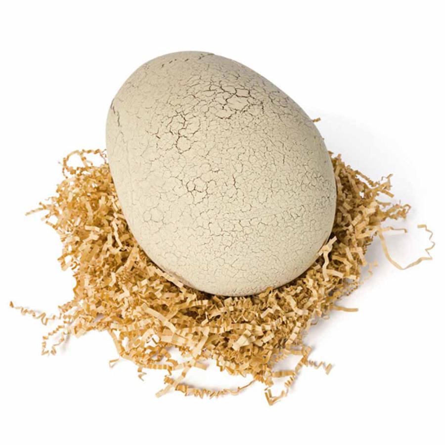 新品]特典付き&クリスマスラッピング付きうまれてうーもジュラシック