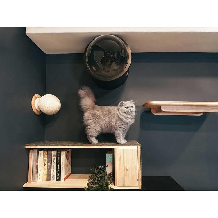 キャットウォーク キャットステップ 爪研ぎボール 猫用品 ペット用品 猫家具 爪研ぎ 壁掛け ペット共生 猫部屋 CATURN N25 キャターン MYZOO MZ0002の画像