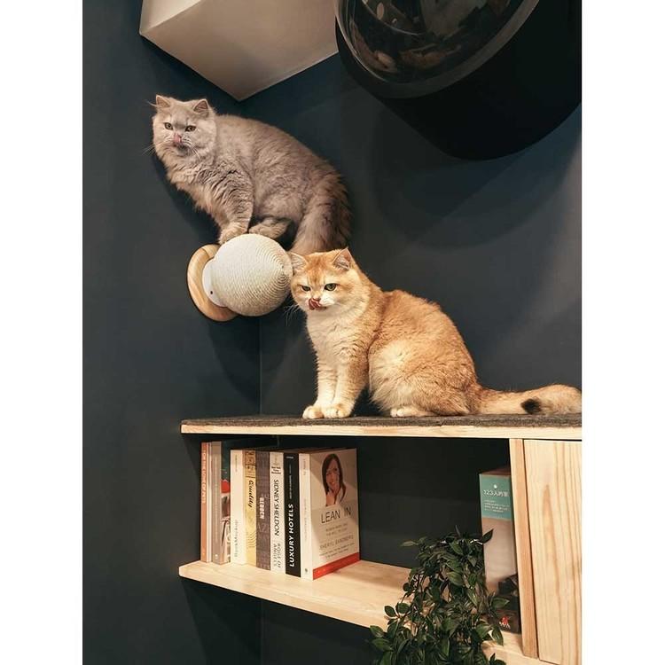 キャットウォーク キャットステップ 爪研ぎボール 猫用品 ペット用品 猫家具 爪研ぎ 壁掛け ペット共生 猫部屋 CATURN N25 キャターン MYZOO MZ0002の画像