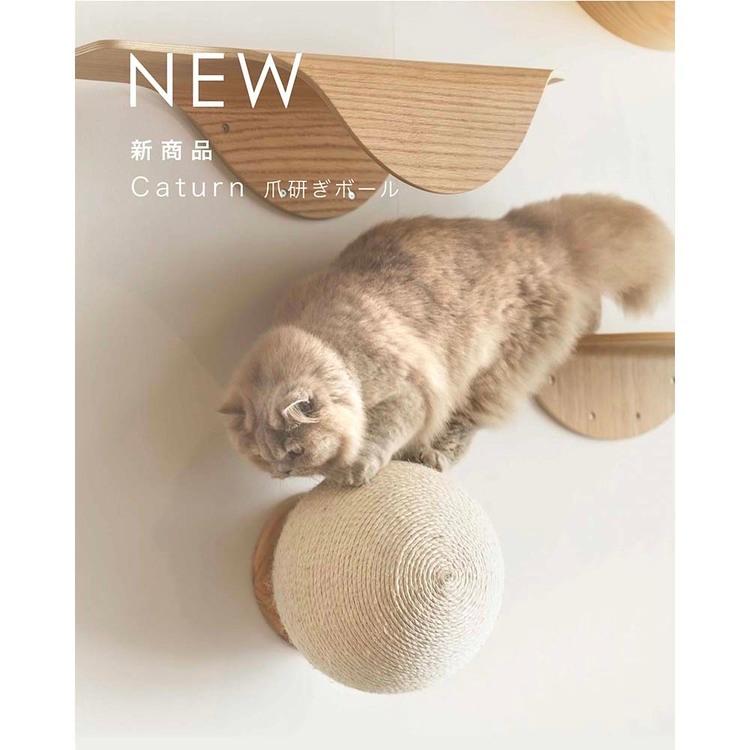 キャットウォーク キャットステップ 爪研ぎボール 猫用品 ペット用品 猫家具 爪研ぎ 壁掛け ペット共生 猫部屋 CATURN N25 キャターン MYZOO MZ0002の画像