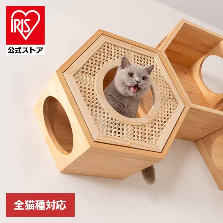 No27 キャットステップ　キャットウォーク　奥行大　ハンドメイド　焼印【猫】 キャットウォーク キャットステップ 猫用品 ペット用品 猫家具 猫