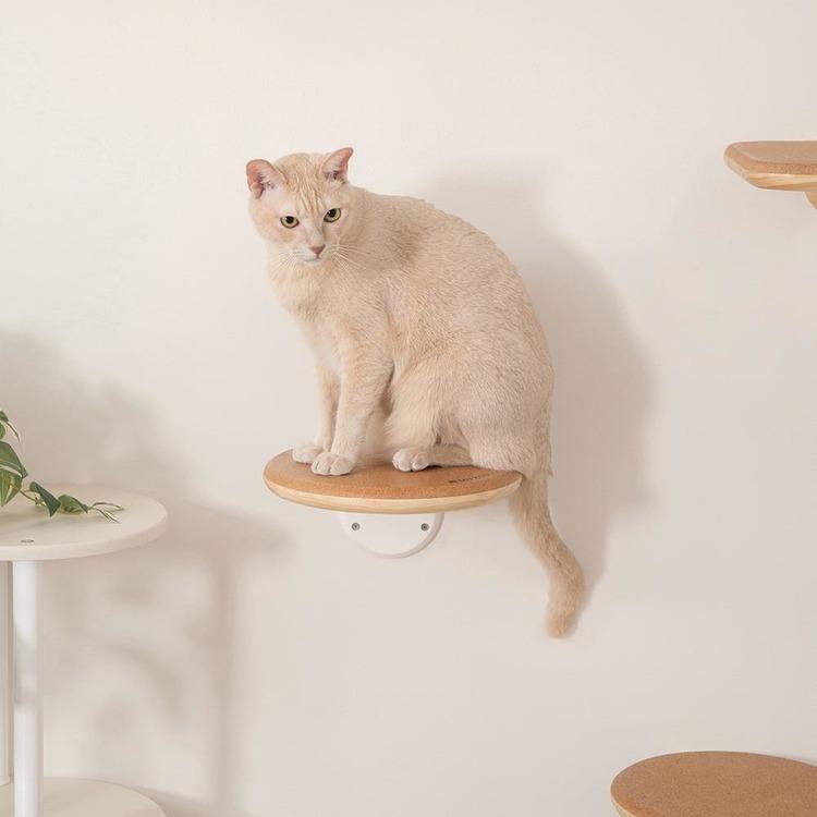 キャットウォーク キャットステップ 猫用品 ペット用品 猫家具 壁掛け シニア猫 ペット共生 猫部屋 短足猫 CORK‐R MYZOO MZ0027_8