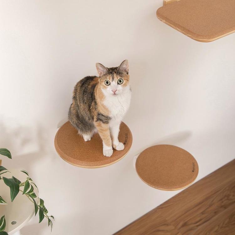 キャットウォーク キャットステップ 猫用品 ペット用品 猫家具 壁掛け シニア猫 ペット共生 猫部屋 短足猫 CORK‐R MYZOO MZ0027_9