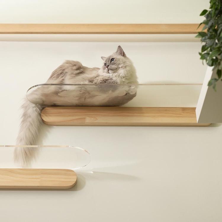 キャットウォーク キャットステップ 猫用品 ペット用品 猫家具 猫
