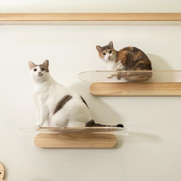 キャットウォーク キャットステップ 猫用品 ペット用品 猫家具 猫