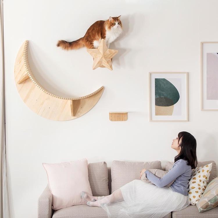 キャットウォーク キャットステップ 猫用品 爪とぎ ペット用品 猫家具 猫ベッド 壁掛け ペット共生 猫部屋 賃貸おすすめ TWINKLESTAR 星 MYZOO MZ0044_3