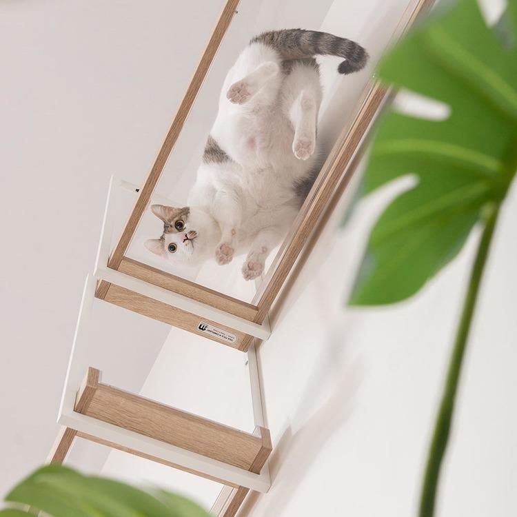 キャットウォーク キャットステップ 透明 猫用品 ペット用品 猫家具 猫ベッド 壁掛け ネコ 猫 天井吊り下げ スケルトン AVENUE クリア MYZOO MZ0052の画像