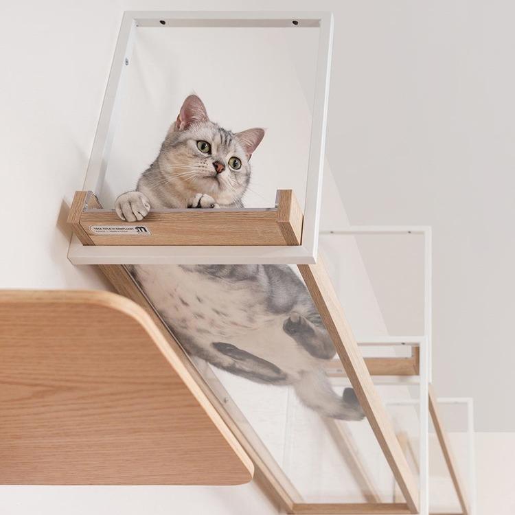 キャットウォーク キャットステップ 透明 猫用品 ペット用品 猫家具 猫ベッド 壁掛け ネコ 猫 天井吊り下げ スケルトン AVENUE クリア MYZOO MZ0052の画像