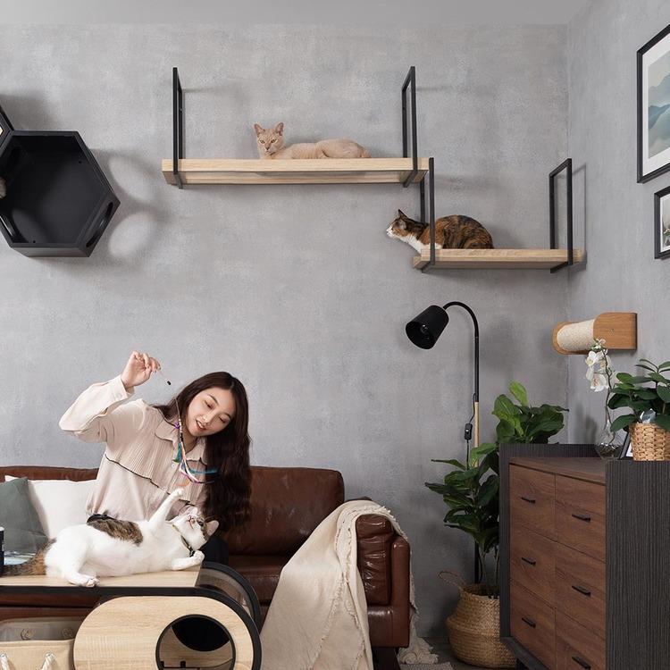 キャットウォーク キャットステップ 透明 猫用品 ペット用品 猫家具 猫ベッド 壁掛け ネコ 猫 天井吊り下げ スケルトン AVENUE クリア MYZOO MZ0052の画像